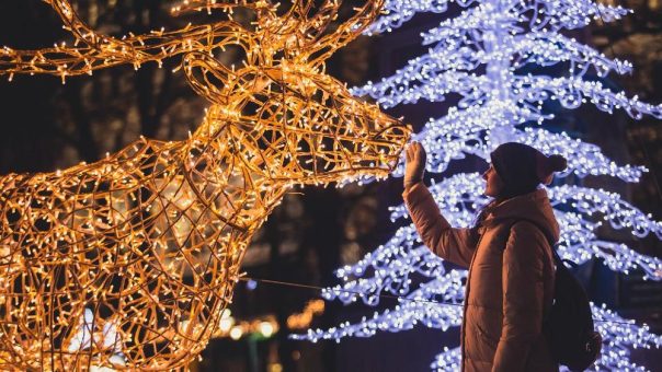 Herbstliche Illuminationen: Lichtfestivals in der dunklen Jahreszeit