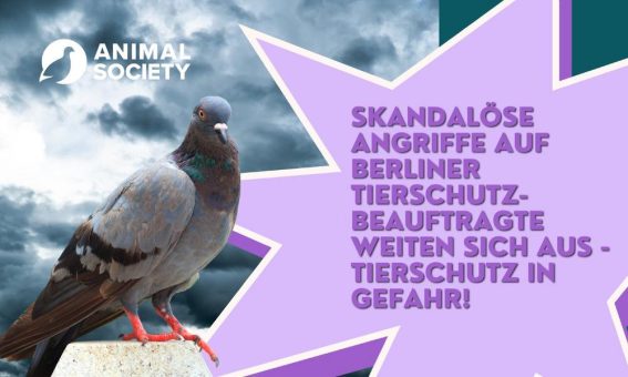 Skandalöse Angriffe auf die Berliner Landestierschutzbeauftragte weiten sich aus – Tierschutz in Gefahr!