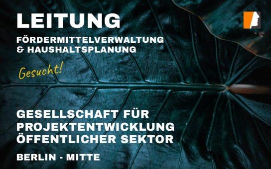 Leitung Fördermittelverwaltung und Haushaltsplanung gesucht – Projektentwicklungsgesellschaft Berlin