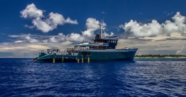 Expeditions-Kreuzfahrt: Bird Watching auf den Seychellen