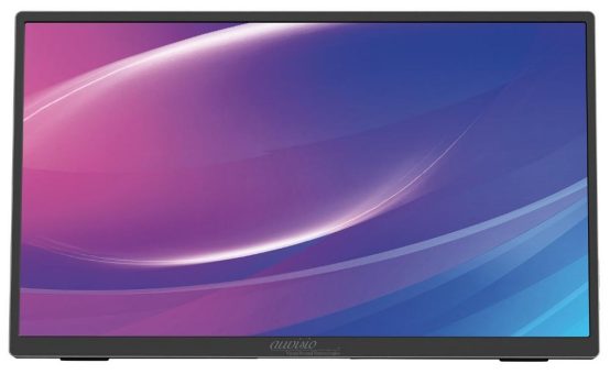 auvisio Mobiler/tragbarer 15,6″/39,6 cm-IPS-Superslim-Monitor EZM-220, Full HD, Metall