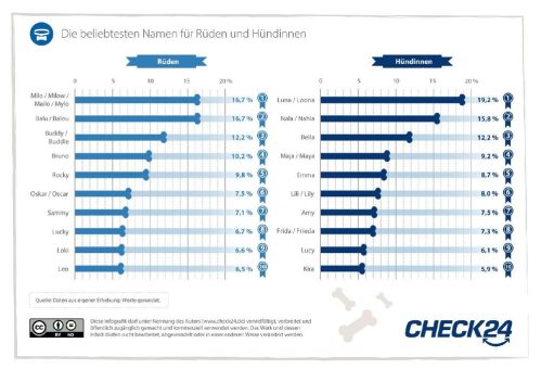 Hitliste der Hundenamen: Luna, Nala und Milo liegen in Deutschland vorn