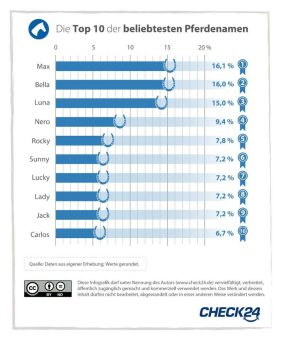 Max, Bella und Luna sind die beliebtesten Pferdenamen 2023