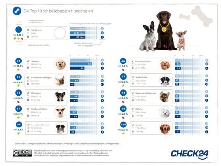 Labrador erneut die beliebteste Hunderasse Deutschlands