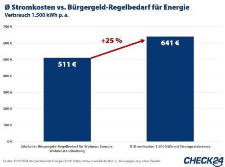 Neues Bürgergeld reicht nicht für Stromkosten