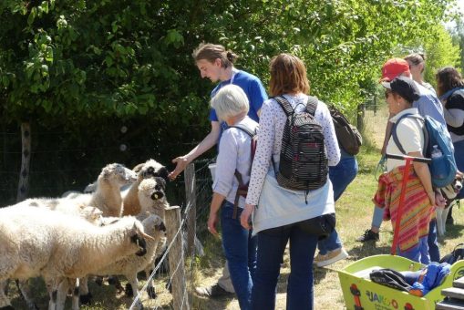 Naturabenteuer für Menschen mit Demenz und ihre An- und Zugehörigen