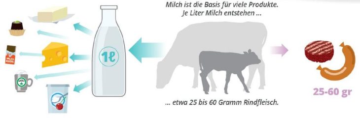 Ohne Fleisch keine Milch