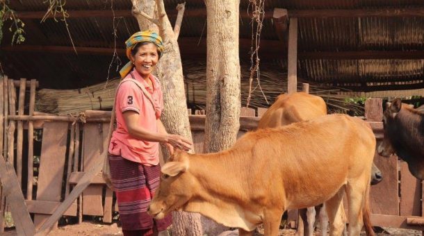 Gemeinsam für mehr Nahrung in Laos