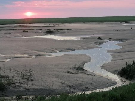 Auszeit auf dem Wasser