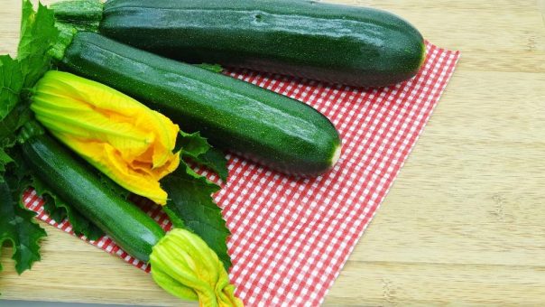 Zucchini-Anbau auch im kleinen Garten oder auf dem Balkon?