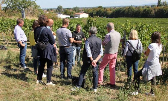 Wein-Zeit-Reisen für Wein-Fans und Fachpublikum