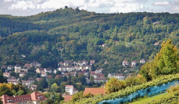 Die Bachakademie stellt die Konzerte des Musikfests Stuttgart 2024 vor