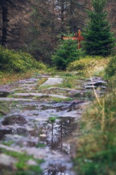 Geführte Wanderung