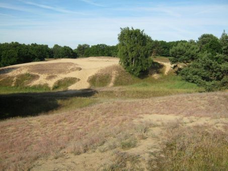 Fühlen, riechen, erleben, glücklich sein – Natur pur am Stettiner Haff