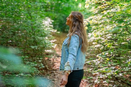 Gesundheitswanderung durch das Riefenbachtal zum Papenberg