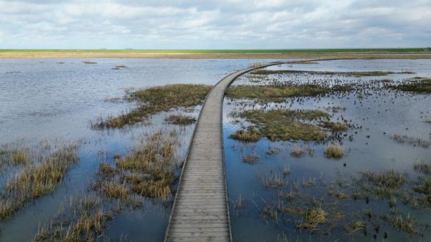 Langwarder Groden im Nationalpark Niedersächsisches Wattenmeer ist Naturwunder des Jahres 2024