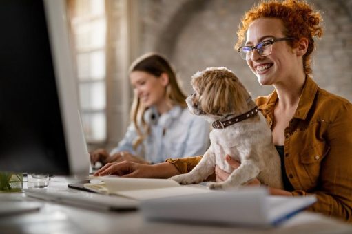 Ein Hoch auf den Hund: Deshalb lernt und arbeitet es sich mit vierbeiniger Unterstützung besser