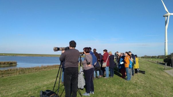 Nationalpark-Haus Carolinensiel präsentiert vielfältiges Programm zu den Zugvogeltagen