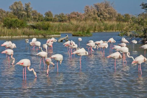 Once in a lifetime: Zwölf magische Naturschauspiele für ein einmaliges Reiseerlebnis