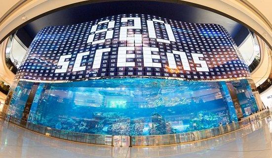 LG Electronics enthüllt weltgrößte OLED-Wand in Dubai