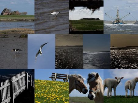 Intensive Fotokurse 2020 an der Nordsee