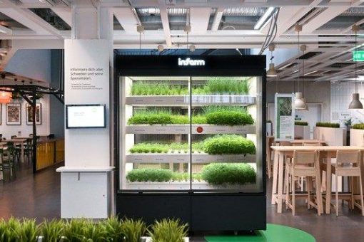 Urban Farming Projekt: IKEA und Infarm bauen gemeinsam nachhaltig Kräuter an