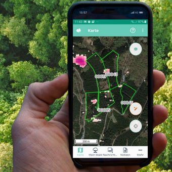 Waldbesitzer behalten ihren Wald im Auge – einfach per Smartphone und der WoodsApp