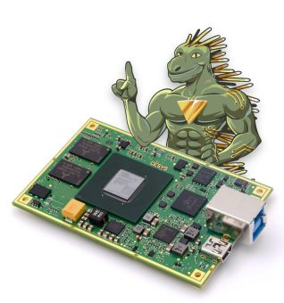 Revolutionieren Sie Ihre Echtzeit-Datenverarbeitung mit FPGA-Boards von CESYS