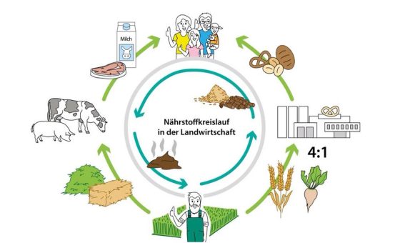 Nährstoffkreislauf in der Landwirtschaft –  Neues Erklärvideo zur Bedeutung der Nutztiere