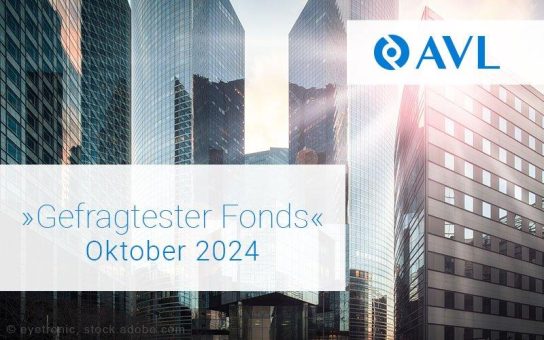 Investment in renommierte Unternehmen – »Gefragtester Fonds« Oktober 2024: AMUNDI TOP WORLD (DE0009779736)