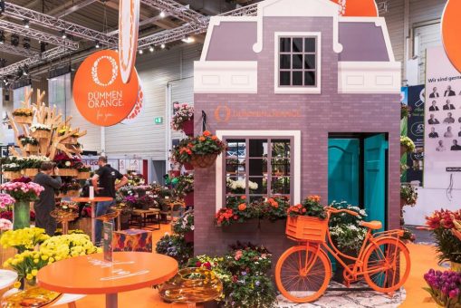 Dümmen Orange organisiert neue Online-Ausstellung „Digital Garden Trends“