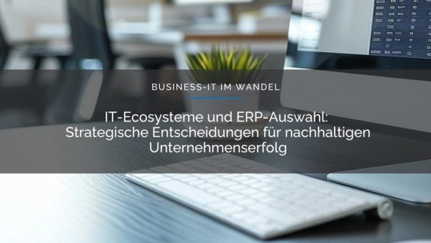 Business-IT-Architektur und ERP-Evaluation im Wandel