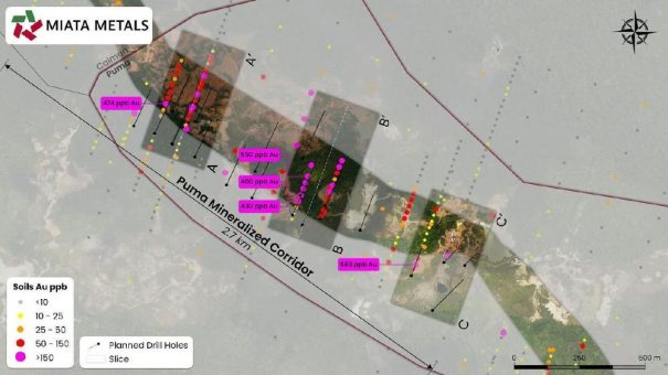 Miata Metals veröffentlicht Bohrplan für Puma-Ziel auf  Goldprojekt Sela Creek in Surinam