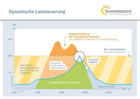 Netzausbau und hohe Leistungsentgelte vermeiden