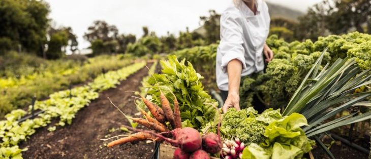 Tarifermäßigung für Einkünfte aus Land- und Forstwirtschaft: Verlängerung der Erleichterungen bis 2028