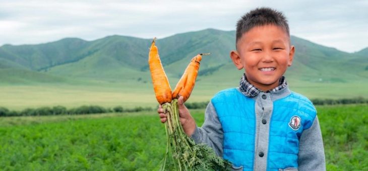 Mongolei: Bio-Landwirtschaft als Schlüssel zum Erfolg