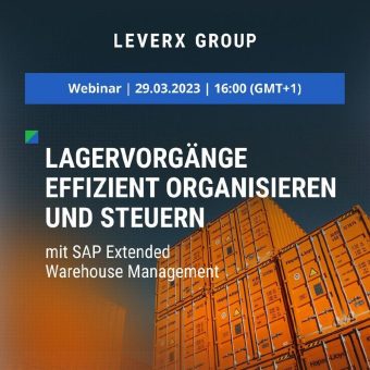 Online-Event zum Thema einer Effizienten Organisierung und Steuerung von Lagervorgängen