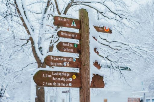 Wanderung „Über dem Steinbruch“