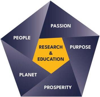 Lehre und Forschung mit echtem Impact: Wie die Munich Business School gesellschaftliche Verantwortung in die Praxis umsetzt