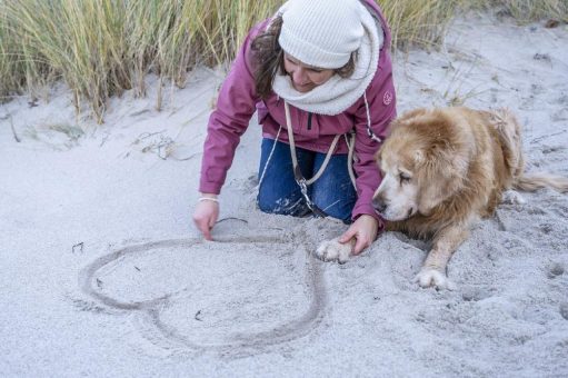 Vierbeiner-Liebe an der Ostsee Schleswig-Holstein: Kurzurlaub mit Hund