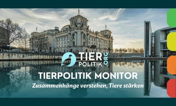 Neue Plattform tierpolitik.org macht Tierpolitik sichtbar – Revolutionäre Transparenz zur Bundestagswahl