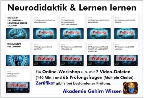 Aktueller Online-Workshop „Neurodidaktik und Lernen lernen“ für Trainer, Coaches und Weiterbildungsprofis