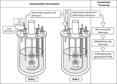 Kontinuierliche Produktion von Biopolymeren