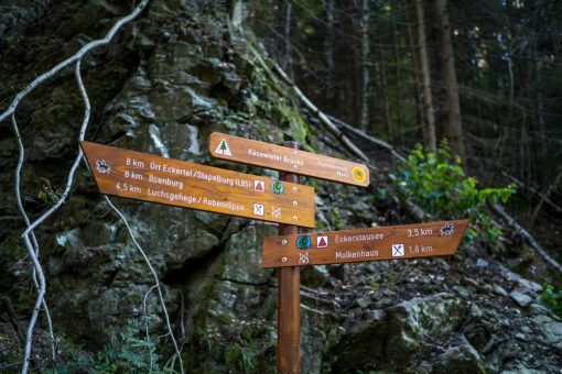 Wanderung zum Kreuz des deutschen Ostens und Luchsgehege