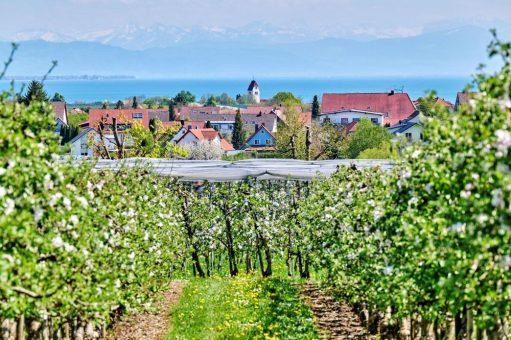 Frühlingserwachen am Bodensee